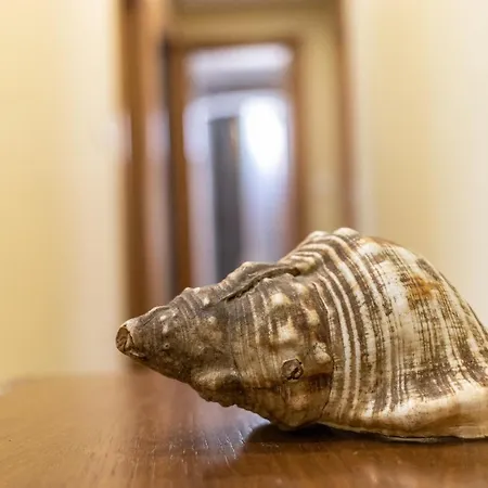 Confortable En アパート レケイティオ