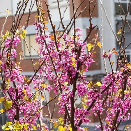 Confortable En Διαμέρισμα *