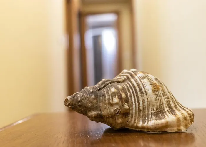 Confortable En شقة ليكيتيو