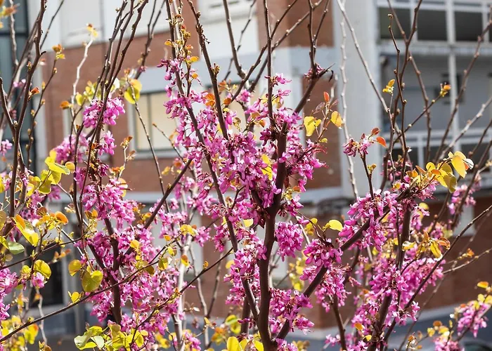 Confortable En Lägenhet *